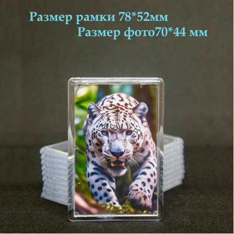 Акриловый магнит 77*52